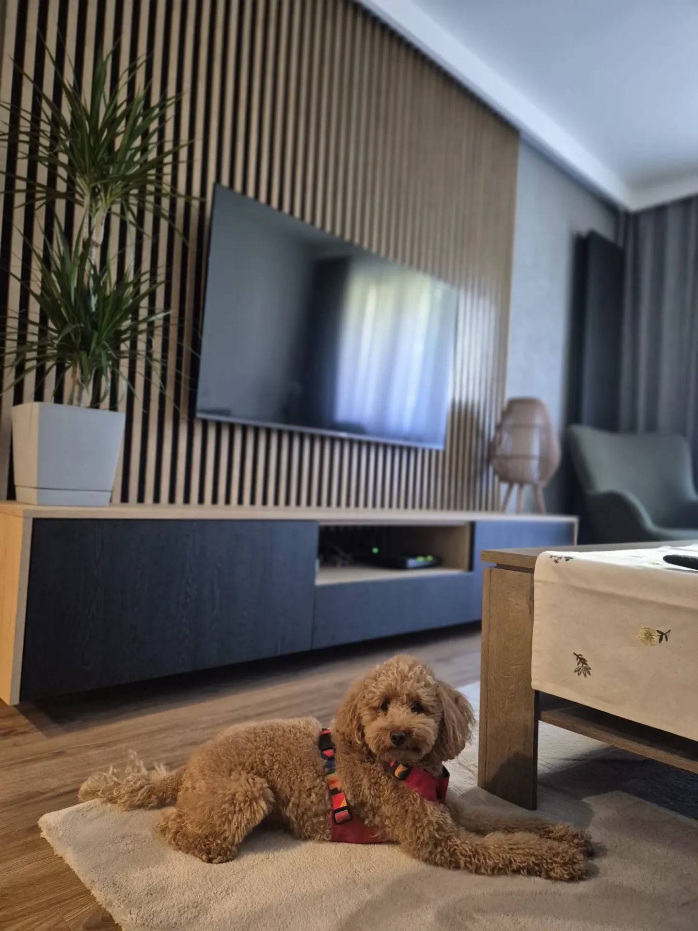 Apartament Kopernika